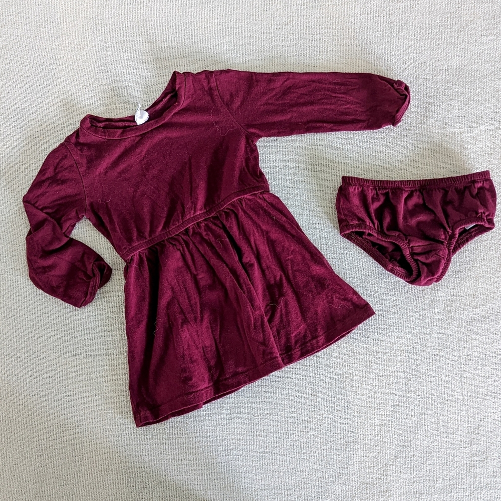 Gap Toddler Girls Fit & Flare Dress 2-Piece, Maroon - 2 Years